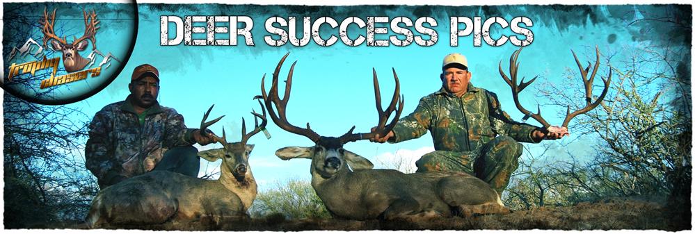 Elk success pictures
